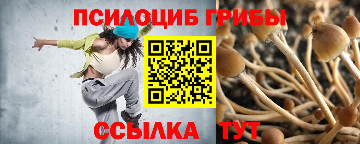 продажа наркотиков  Вход с VPN  Асбест  Псилоцибиновые грибы Psilocybe 