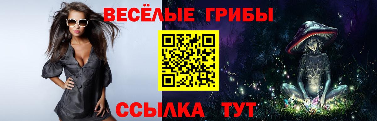 Галлюциногенные грибы Psilocybe Асбест
